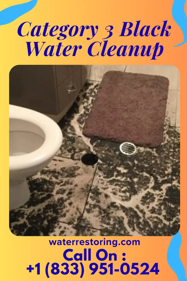 Category 3 Black Water Cleanup in Queets, WA