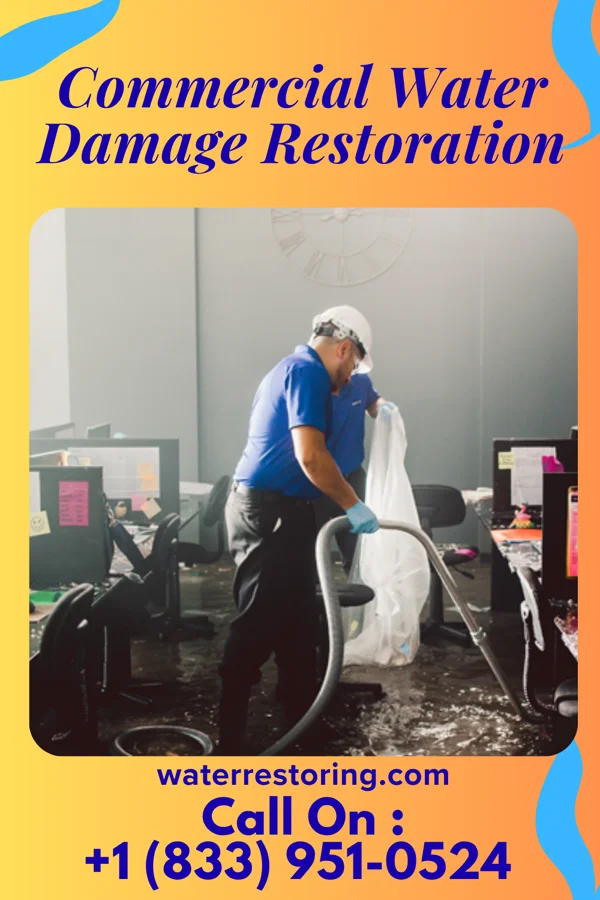 Commercial Water Damage Restoration in Queets, WA