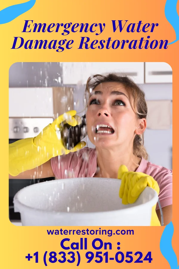 Emergency Water Damage Restoration in Queets, WA