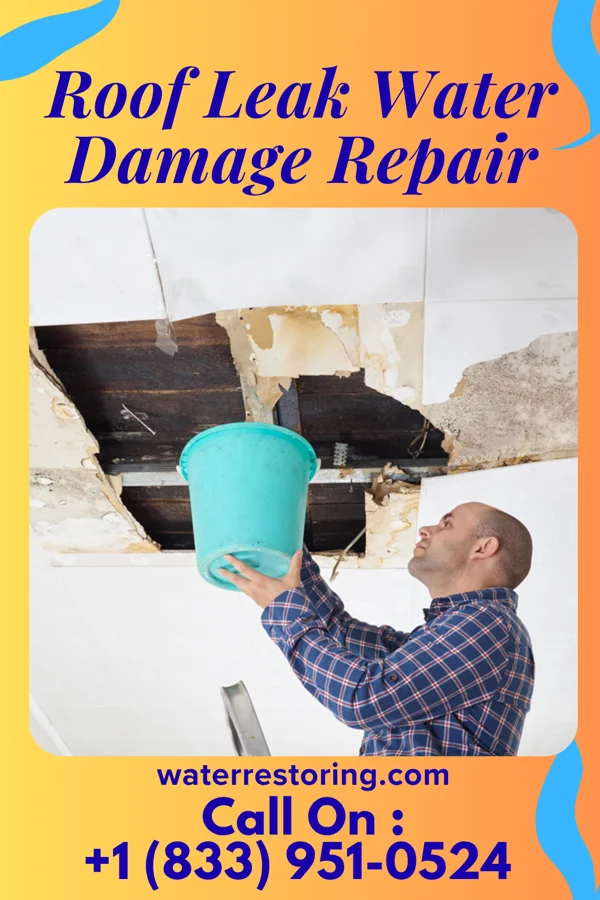 Roof Leak Water Damage Repair in Queets, WA